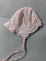 Sonnenhut 'maximo'