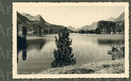 AK sw Sils GR Engadin,Halbinsel Chasté,©Meerkämper ≈ 1934