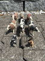 Jungbauer für Schleich Tiere gesucht