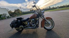 Wunderschöne Harley