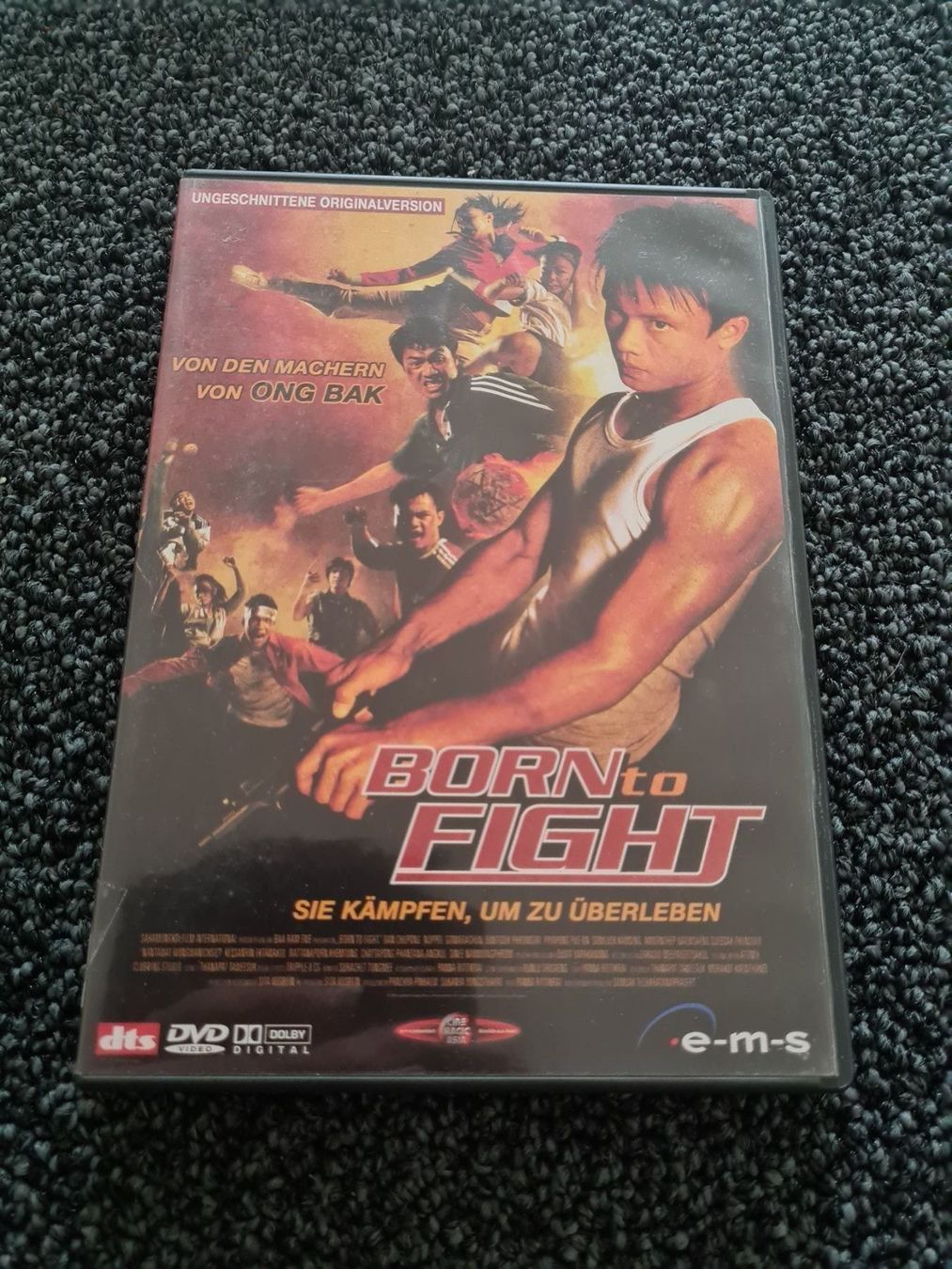 Alle DVDs: BORN TO FIGHT (5698) – Gebraucht aus Ruswil von jan_bxl5