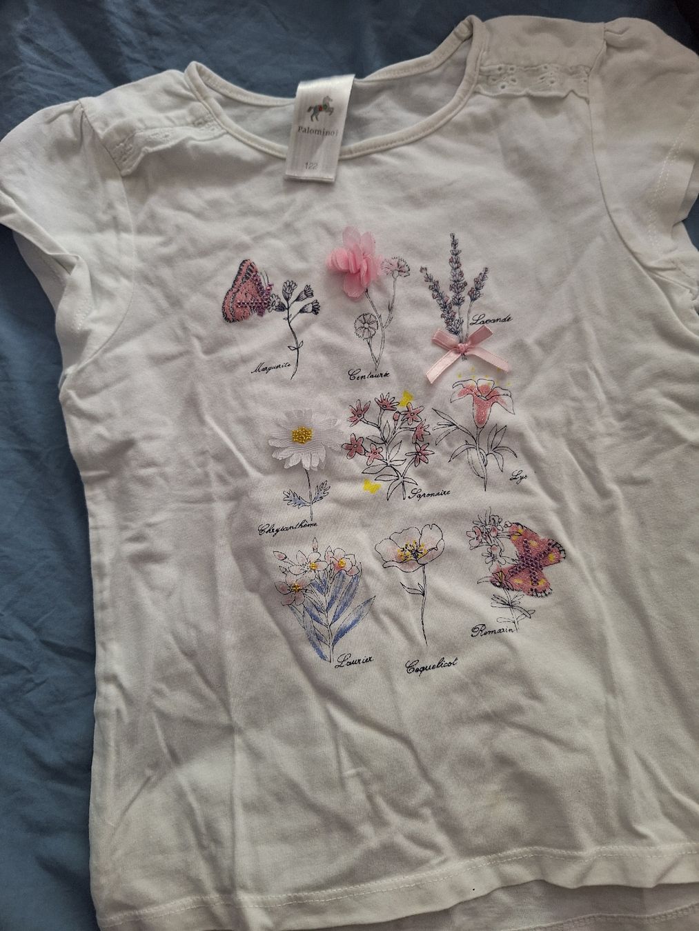 Lotti & Set di vestiti: sommershirts – Nuovo (secondo la descrizione) da Bern venduto da eveammann 2
