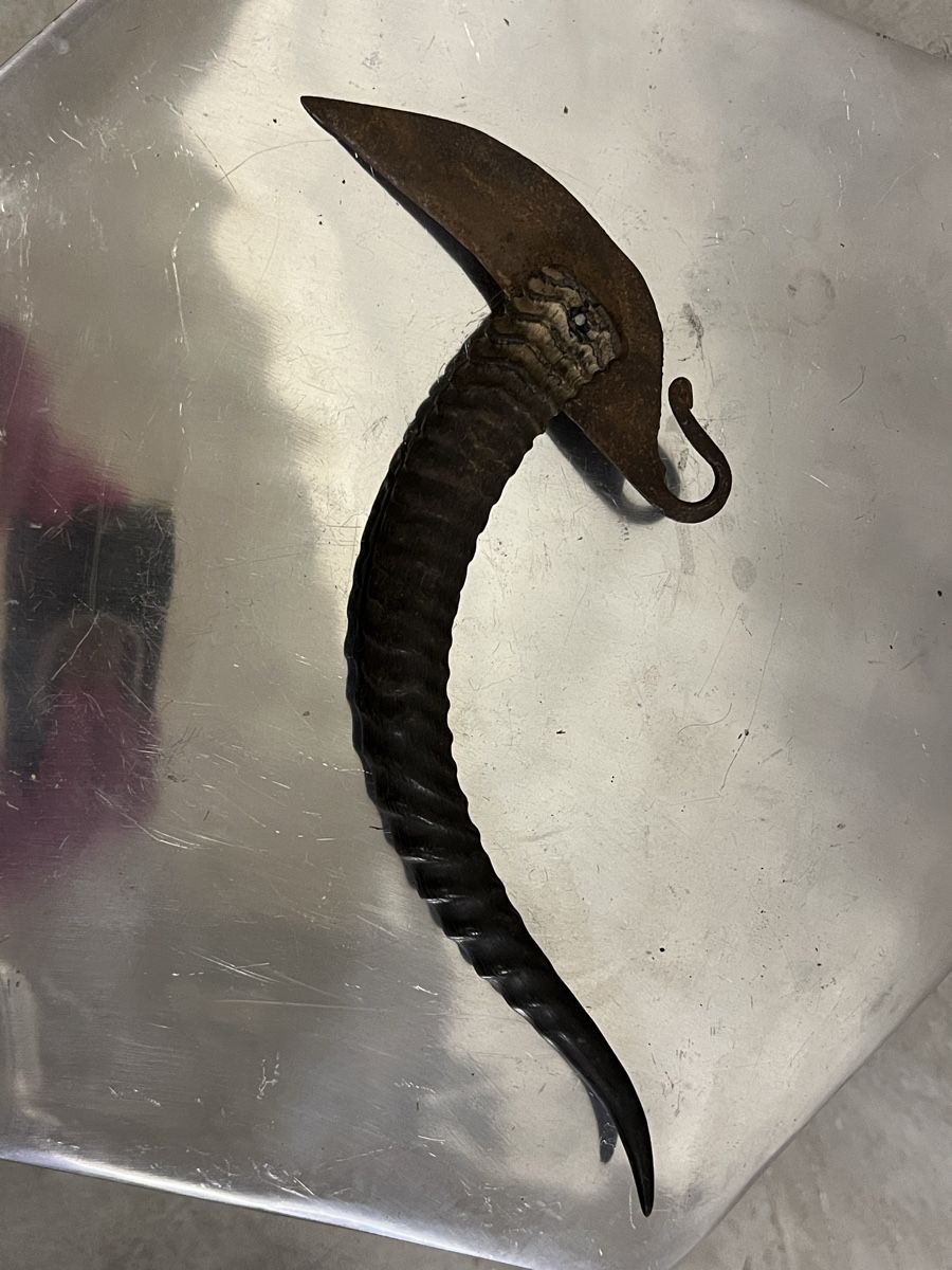 Accessori: Altes Jagdmesser mit Horn Griff ca 25cm"}," – Usato da Zürich venduto da Privat_13 1