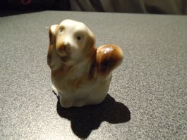 Hund, weiss/braun, Schwanz hoch