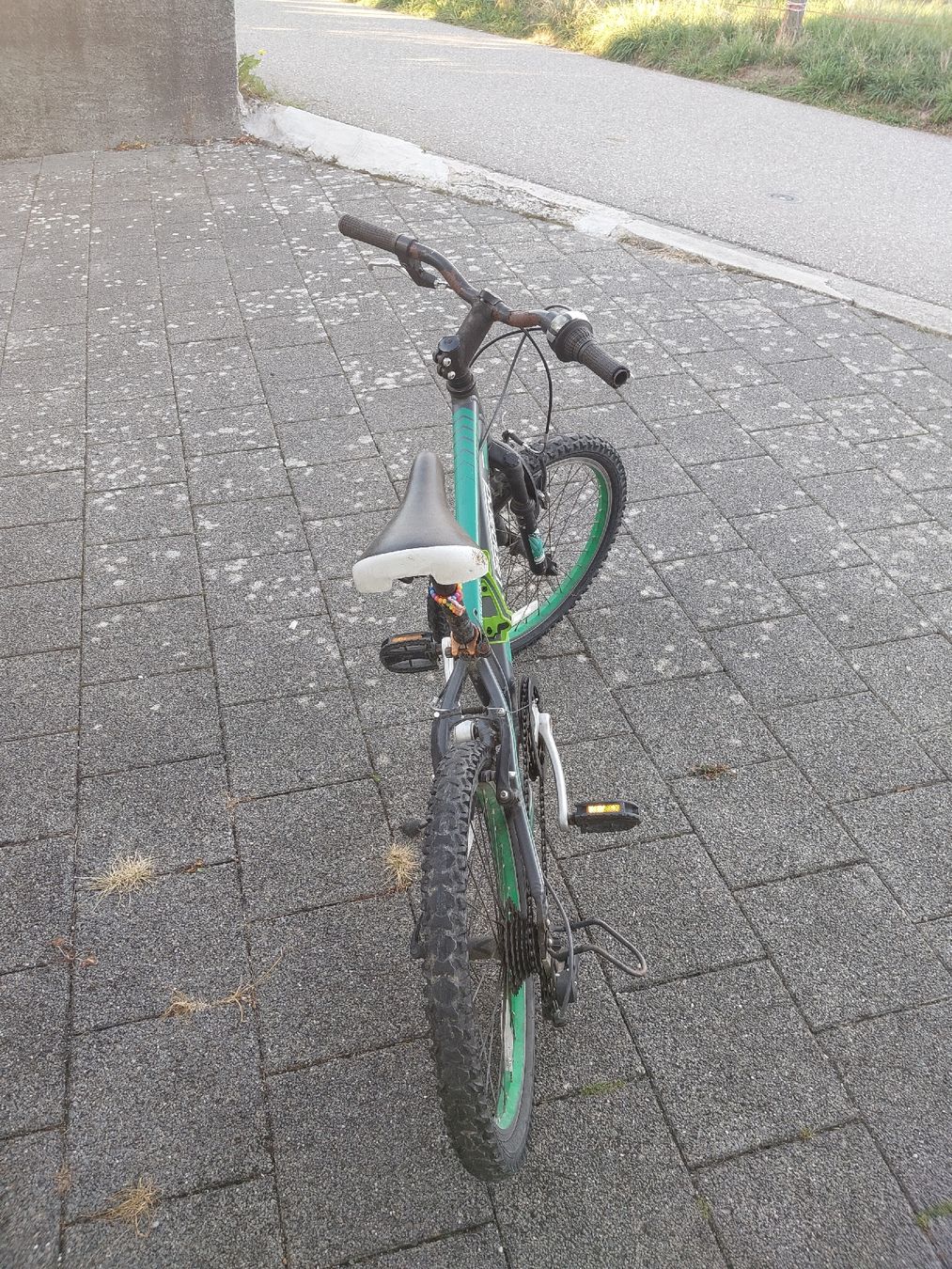 Leopard Biciclette: Kinderfahrrad Leopard Forest Cat gebraucht mit Flugrost – Usato da Lotzwil venduto da Snoubi01 2