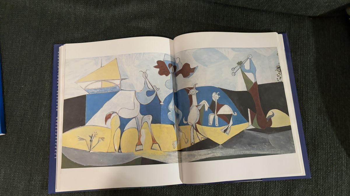 Bücher: Picasso - Jean-Louis Ferrier, KOMET – Gebraucht aus Basel von NellyBotti 2