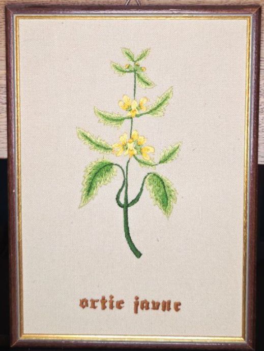 Gemälde: Broderie - Ortie Jaune - 32 x 23 cm – Gebraucht aus Plan-les-Ouates von NomadeMarchand