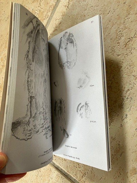Libri: Les traces d'animaux - guide de terrain – Usato da Les Ponts-de-Martel venduto da Jolisa 5