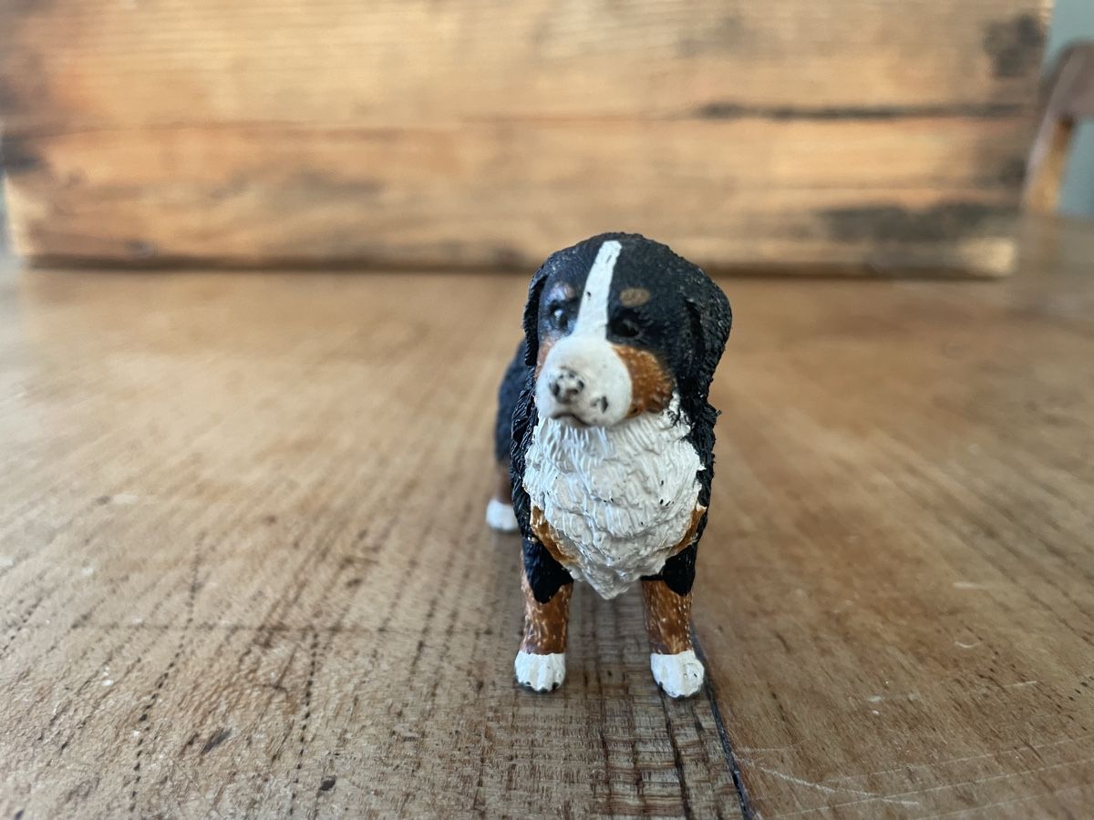 Schleich Statuette: Schleich Bernhardiner Hund – Usato da Bonstetten venduto da soleillle 2