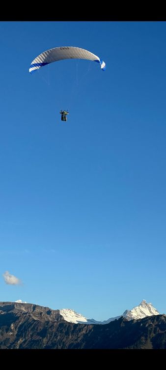 Phi Flug- & Drachensport: PHI Viola 24 – Lightweight, Compact Glider – Good Condition – Gebraucht aus Gunten von alb_kj8n 3