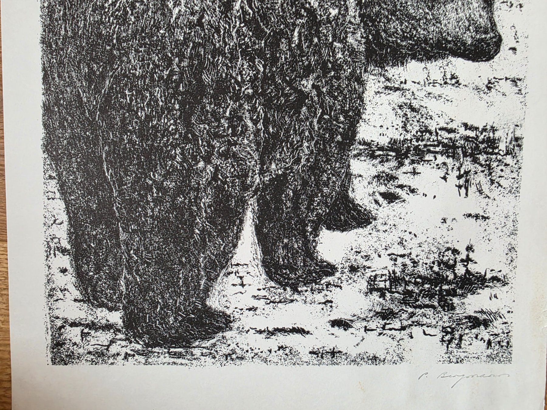 Grafica & Litografie: Lithografie Bild Bär - P. Bergmann handsigniert – Usato da Walterswil BE venduto da Lonitti 3