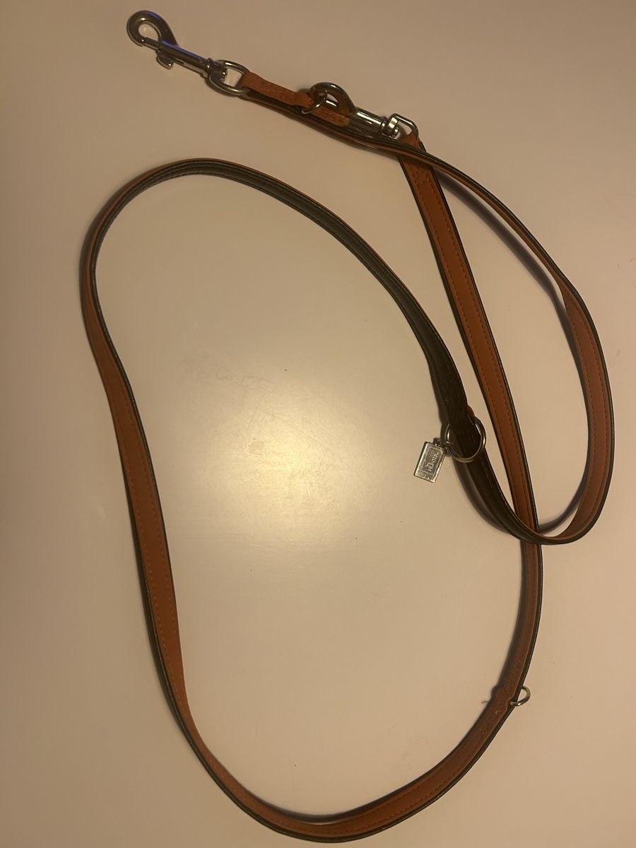 Guinzagli & Collari: Laisse/collier pour chien HUNTER cuir  – Nuovo (secondo la descrizione) da St-Prex venduto da mar_f6t6
