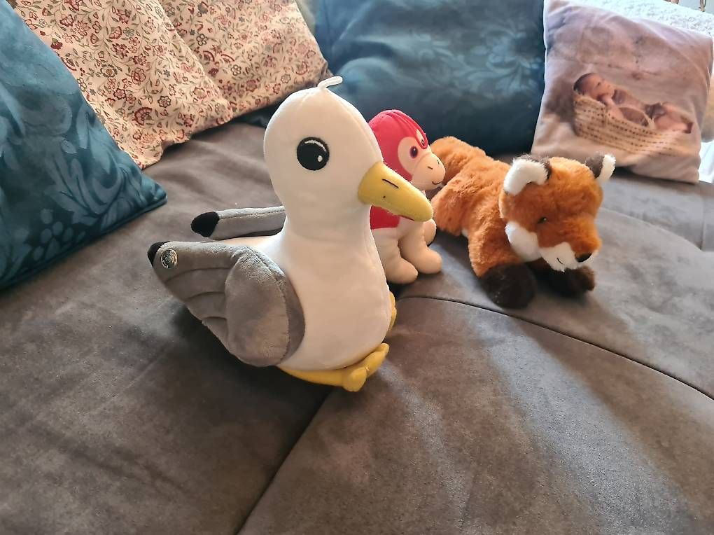 Spielzeuge: Verschiedene Kuscheltiere  – Gebraucht aus Ramlinsburg von DanaBar