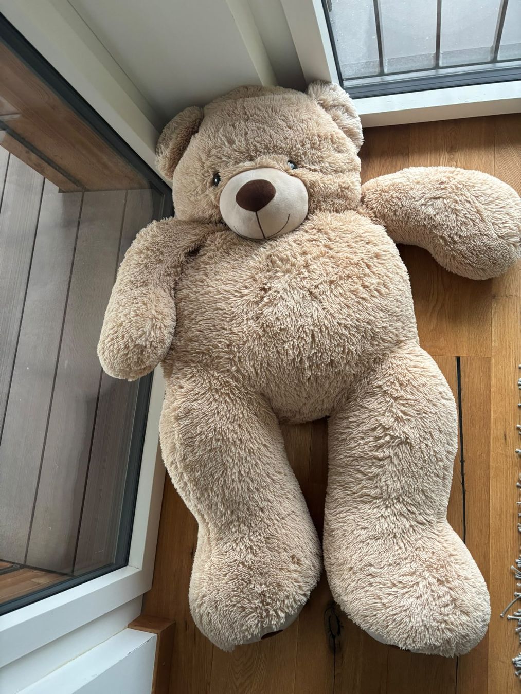 Giocattoli: Riesen-Teddybär – Usato da Rotkreuz venduto da bar_lgv5 1