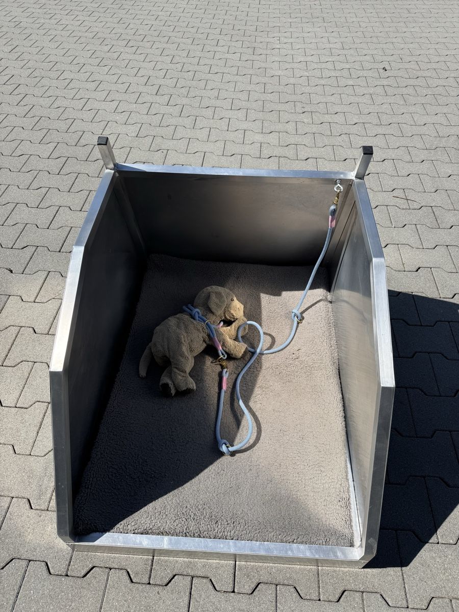 Gabbie, trasporto & Sicurezza: Hunde Box für Tesla Y – Usato da Langnau i. E. venduto da Matilda72 2
