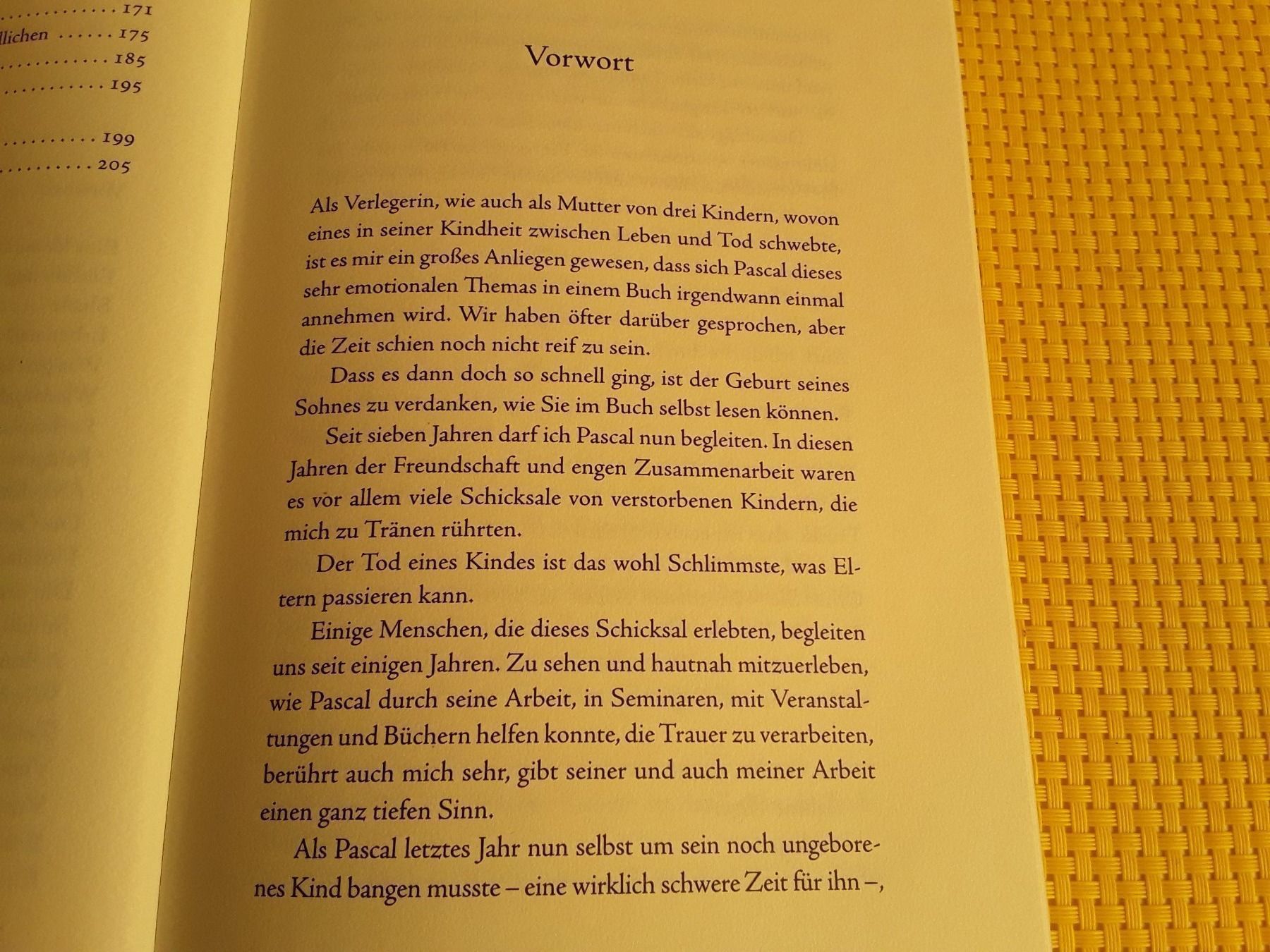 Libri: Kinder in der geistigen Welt – Usato da Rebstein venduto da Buchsi03 4