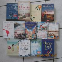 13 Romane verschiedene Autoren gem. bilder