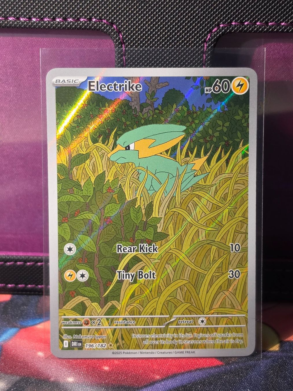 Pokémon Carte collezionabili: Electrike 196 – Usato da Binningen venduto da oscark77