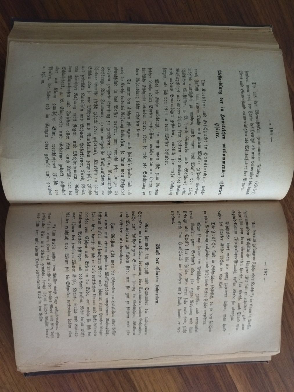 Libri: Kochbuch antik 1877 – Usato da Felben-Wellhausen venduto da bananajoe8474 3