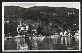 AK Walchwil, Ortspanorama vom Wasser aus