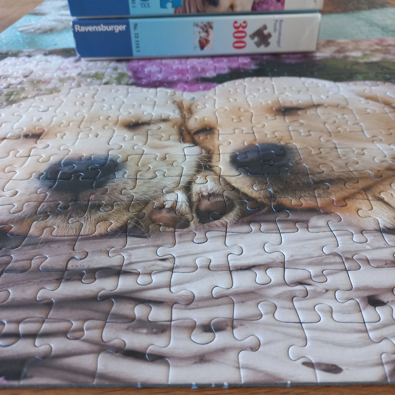 Ravensburger Puzzle: Puzzle Ravensburger 2× 300 pièces  – Nuovo (secondo la descrizione) da Dompierre FR venduto da fat_xth5 7