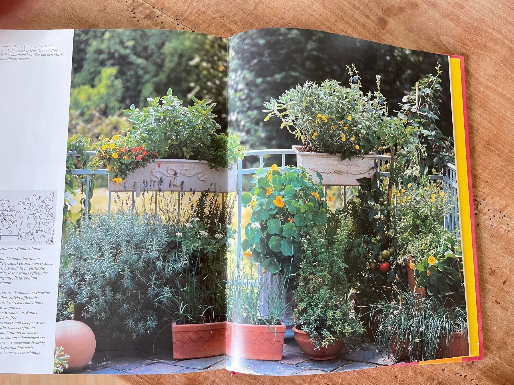 Libri: Balkon- und Kübelpflanzen Buch – Usato da Winterthur venduto da 1956ingi 4