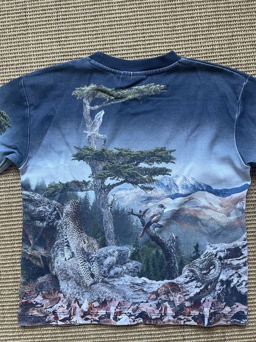 Molo Maglioni & Felpe: Molo Pullover Grösse 128 – Usato da Zürich venduto da EliseSchmitz 3