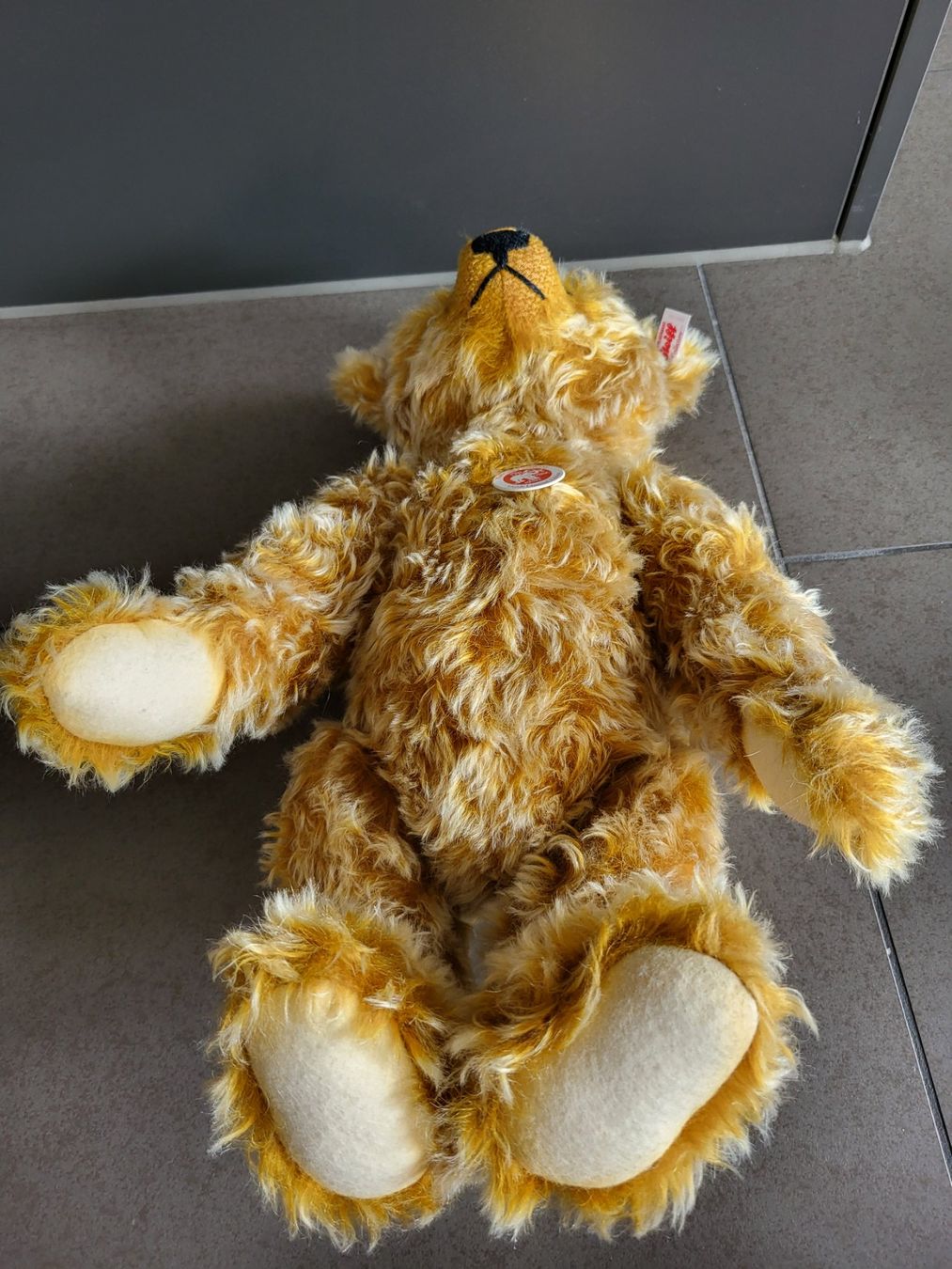 Steiff Spielzeuge: Steiff Teddy – Neu (gemäss Beschreibung) aus Zürich von Orchidee 5