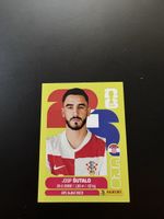 Panini CRO7