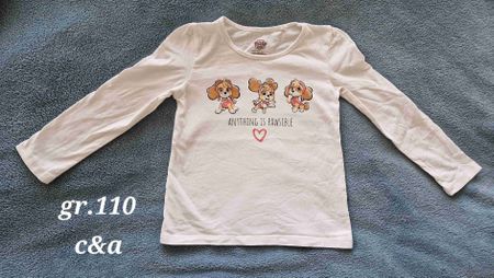 Langarmshirt Paw Patrol Skye Grösse 110 
