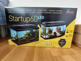 60 lt fish tank with a lot of premium accessories