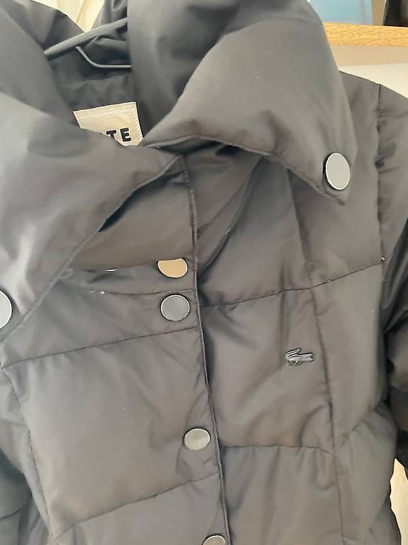 Lacoste Vestes: Lacoste Gr40 – D'occasion à Renens VD par siric1996 1