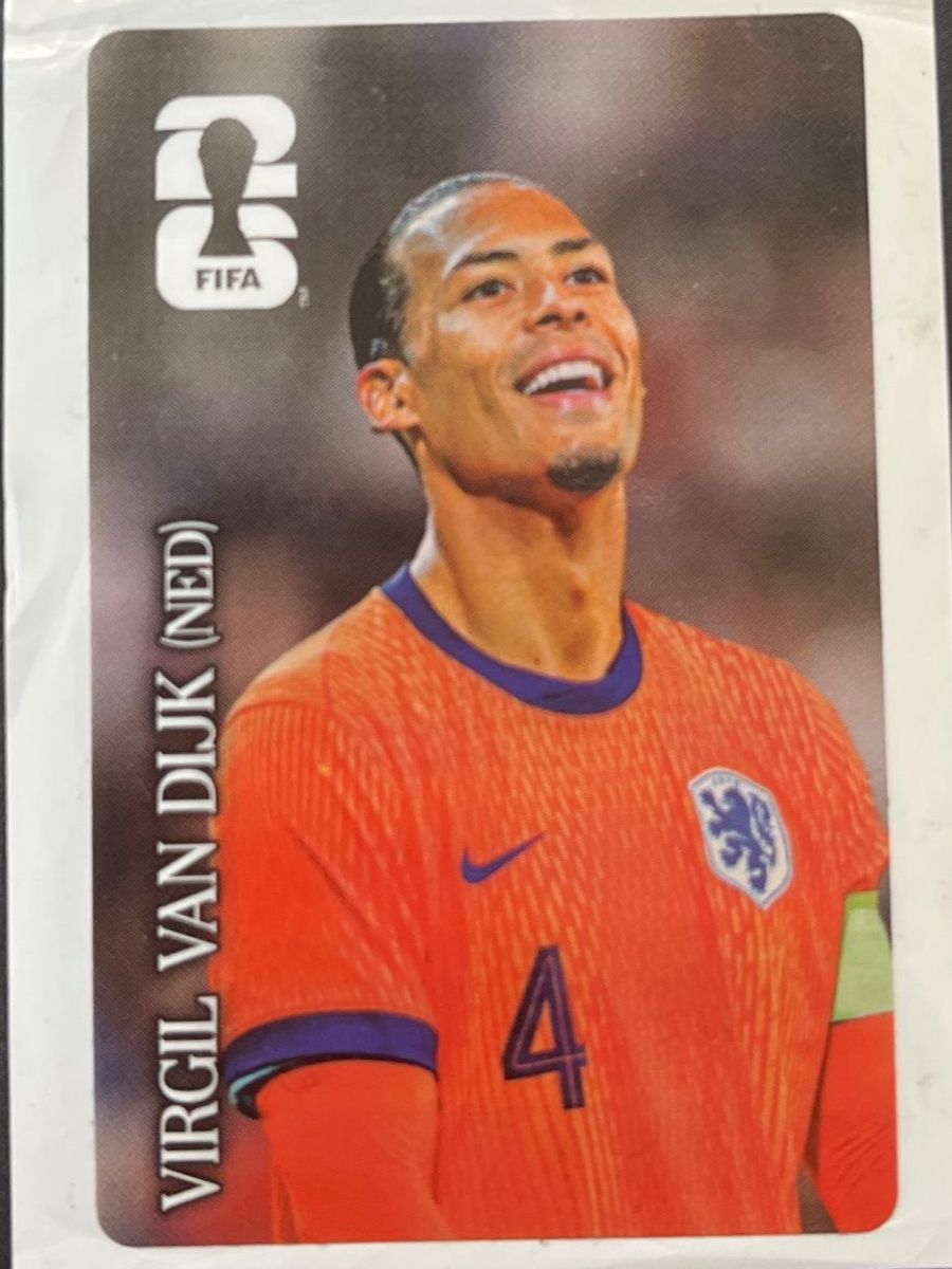 Panini Carte collezionabili: Panini VIRGIL VAN DIJK (NED) – Nuovo (secondo la descrizione) da Susten venduto da Rechnun