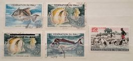 Mali, Lot