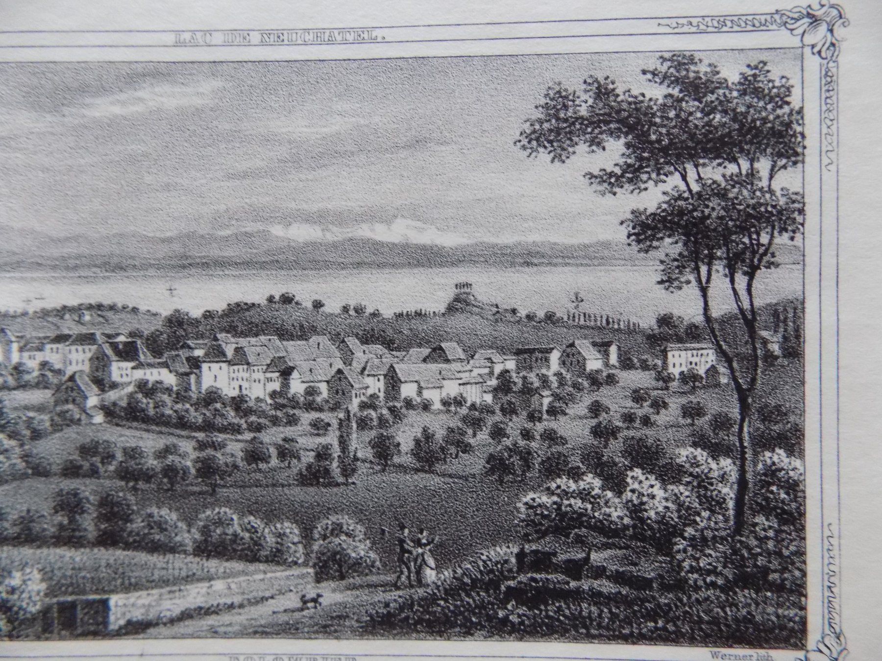 Incisioni: Colombier Lithographie um 1855 – Usato da Risch venduto da Antikfee 4