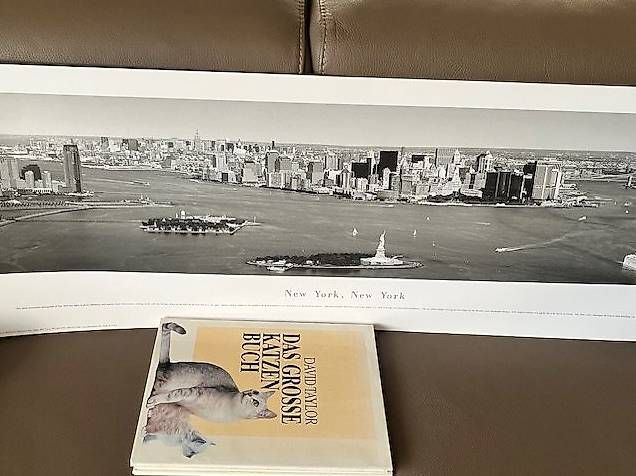 Foto & Immagini: 2 Posters panoramiques de NEW YORK – Usato da PULLY venduto da RAPHAEL1953