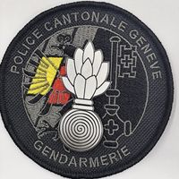 Reproduction Écusson Gendarmerie Genève