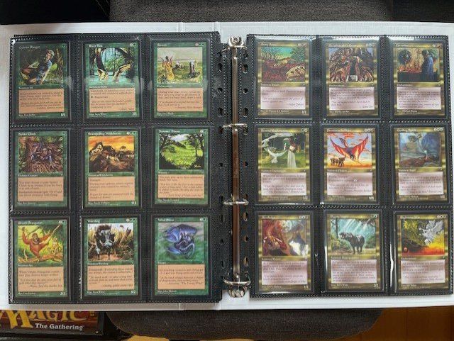 Magic The Gathering Sammelbilder & Trading cards: Visions Komplettset Englisch Magic the Gathering – Neu (gemäss Beschreibung) aus Oftringen von Aqualuz 6