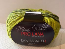 10 Knäuel San Marco Color Pro Lana