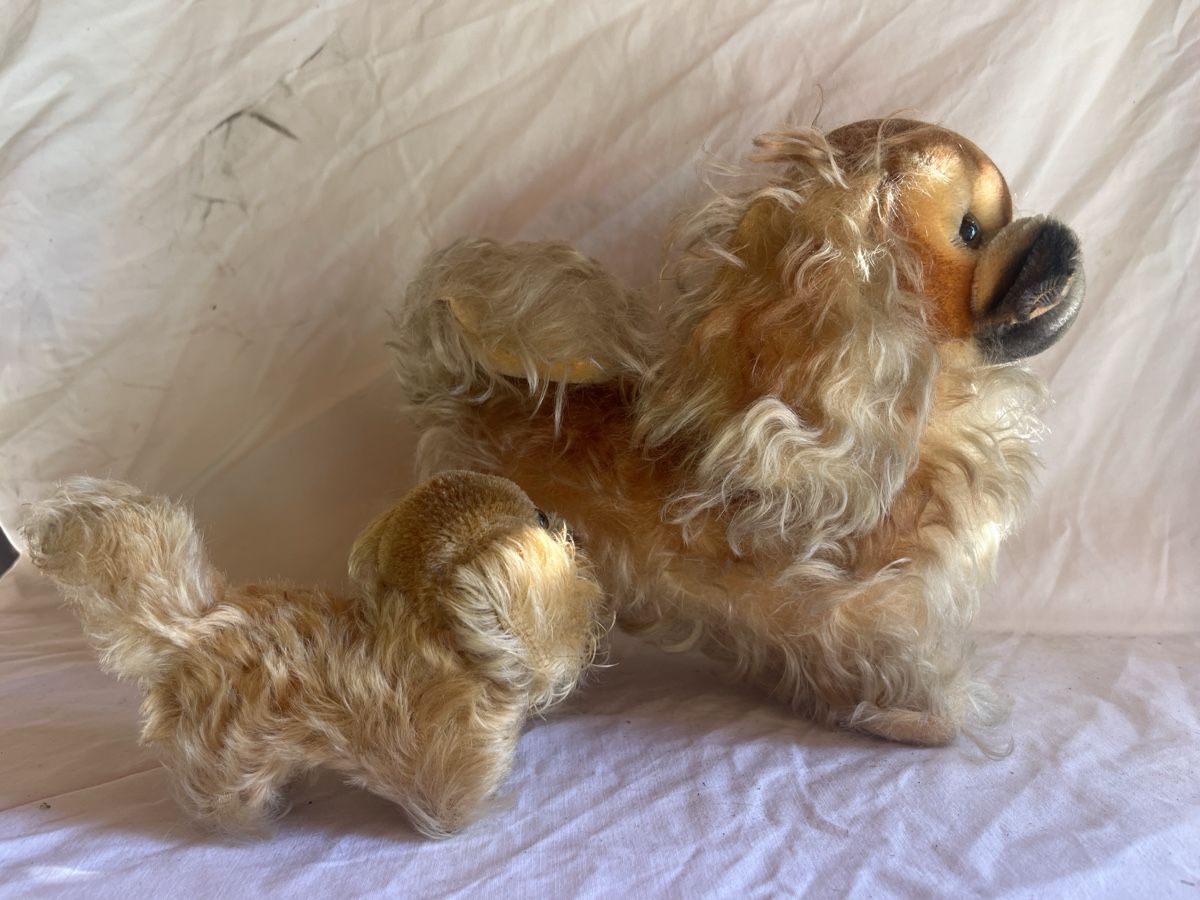 Steiff Giocattoli: 2 Alte Hunde Steiff – Usato da Brienz BE venduto da hey_z9vg 5