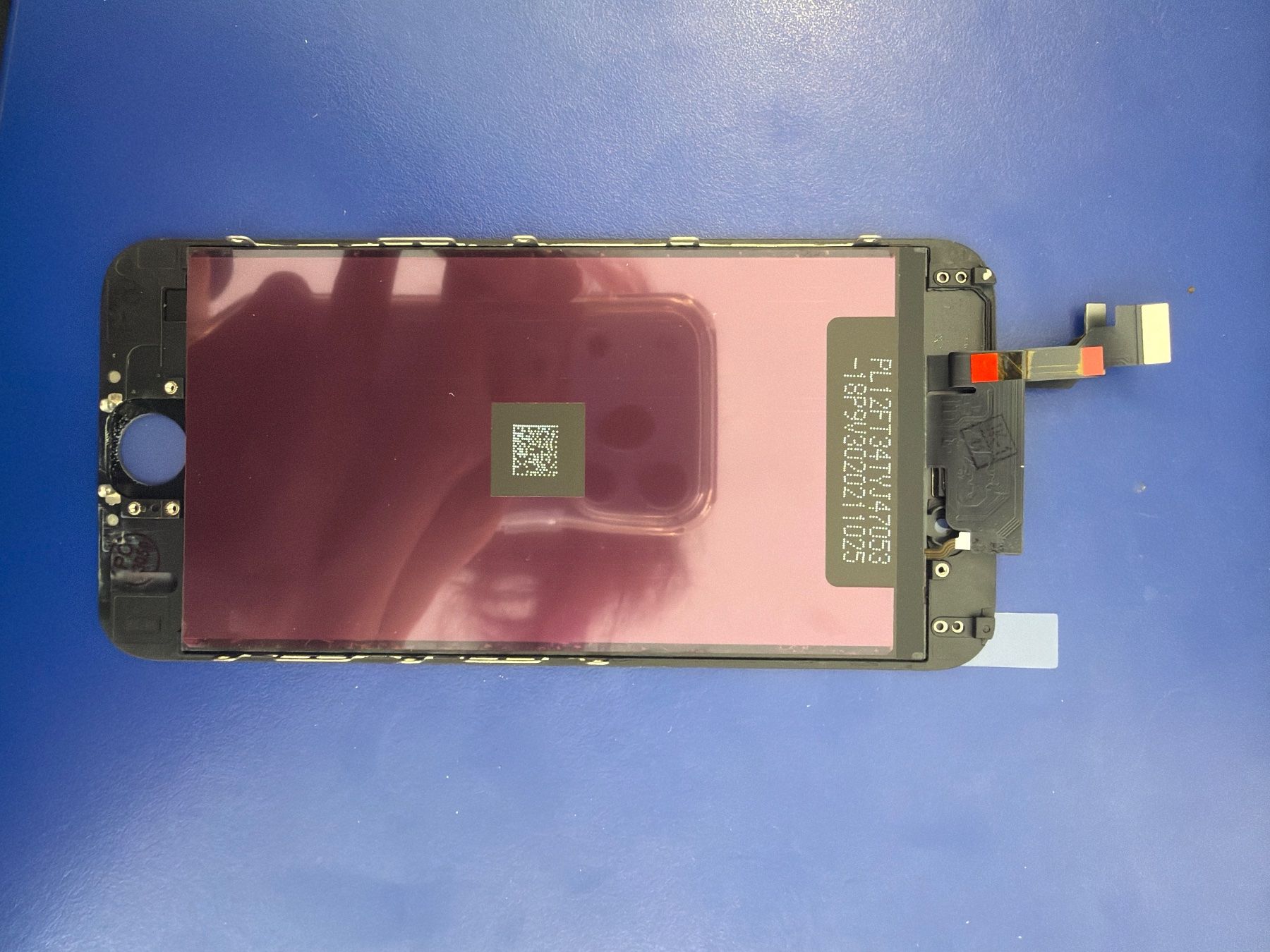 Apple Monitor: iPhone 6 Display Ersatzteil Black – Usato da Aarau venduto da RAMESTORE 1