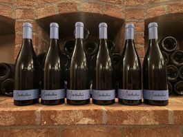 Gantenbein Pinot Noir Vertikale 2016-2021