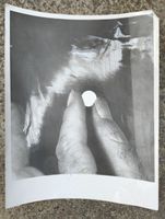 Original Pressefoto 1965 Antibabypille Arzt Apotheke