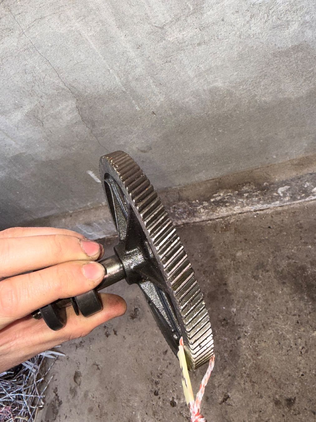 Puch Parti ricambio per ciclomotori: Puch Maxi/X30 E50 Mofa Getrieberad – Usato da Fahrni b. Thun venduto da berger_tuning34 2