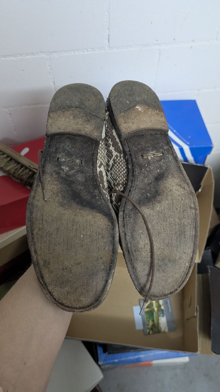Scarpe da uomo: ARMANDO D'ALESSANDRO Schuhe Schlangenmuster – Usato da Morgarten venduto da rra_jvw7 3