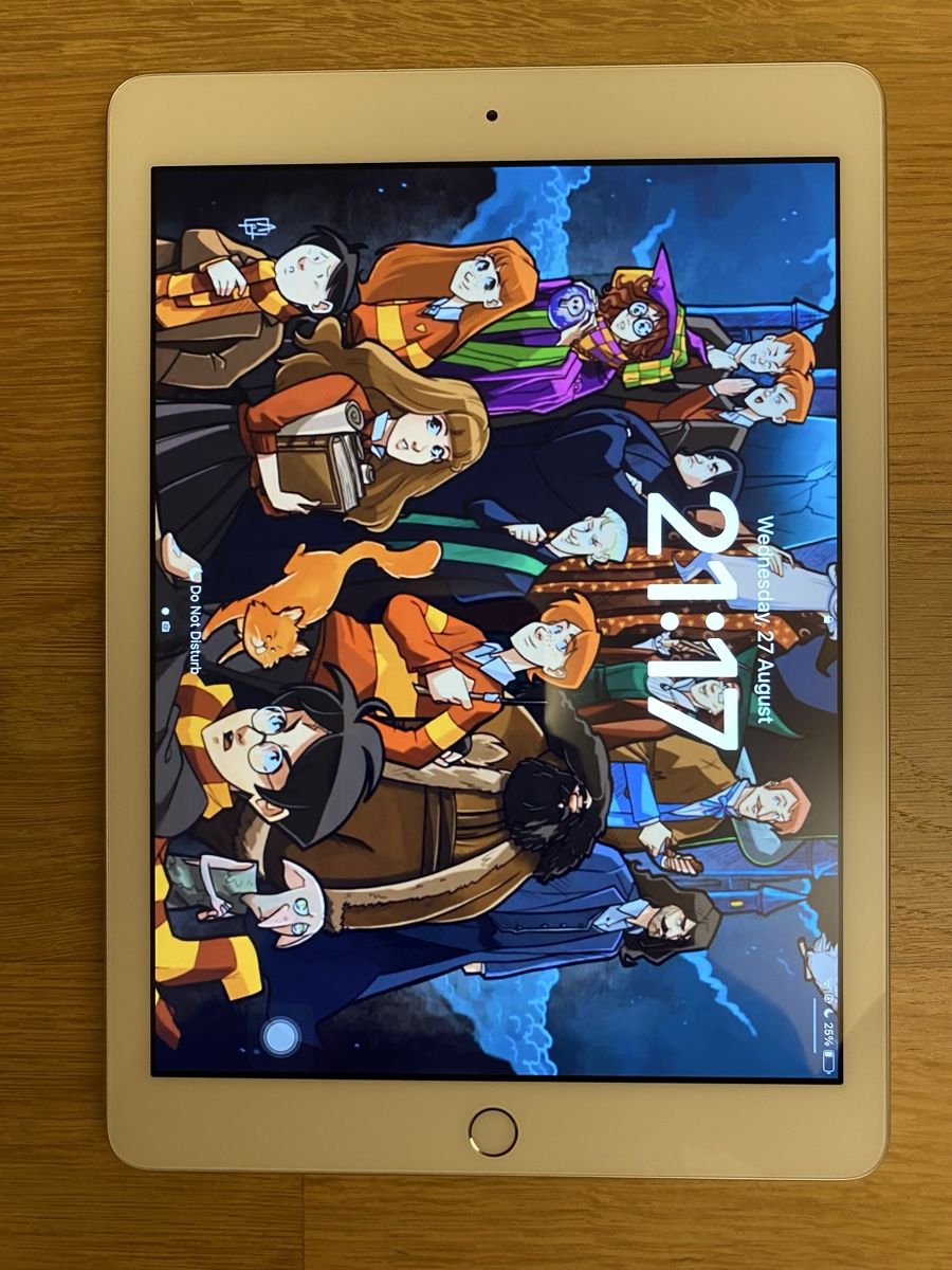 Apple Tablet PC: Excellent Condition Apple iPad 6 32GB – Gebraucht aus Thalwil von jon_xx9b