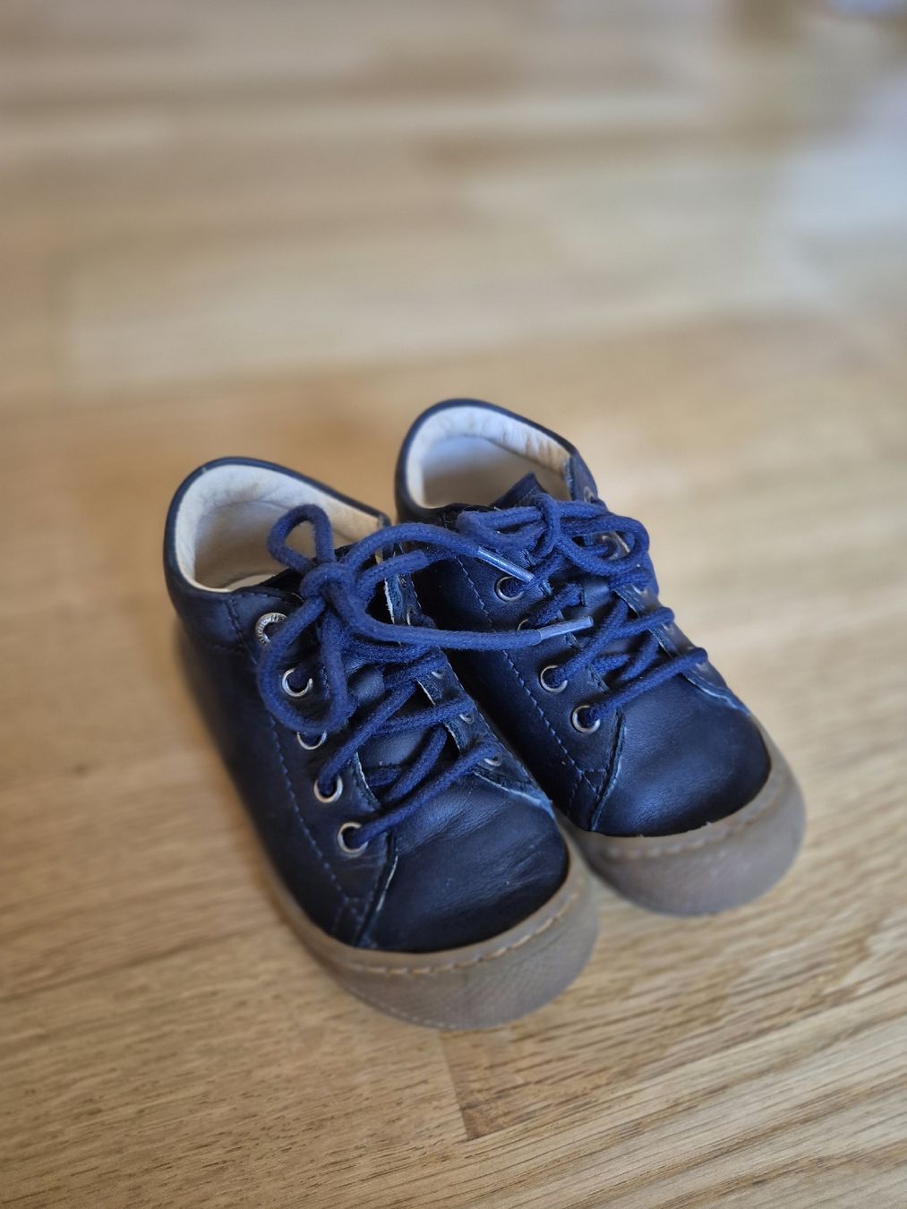 Naturino Schuhe für Jungen: Naturino Gr. 23 – Gebraucht aus Bern von Tortillea