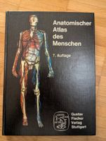 Anatomischer Atlas des Menschen, 7. Auflage, Top Zustand