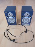 Edirol MA-10A Stereo Micro Monitor