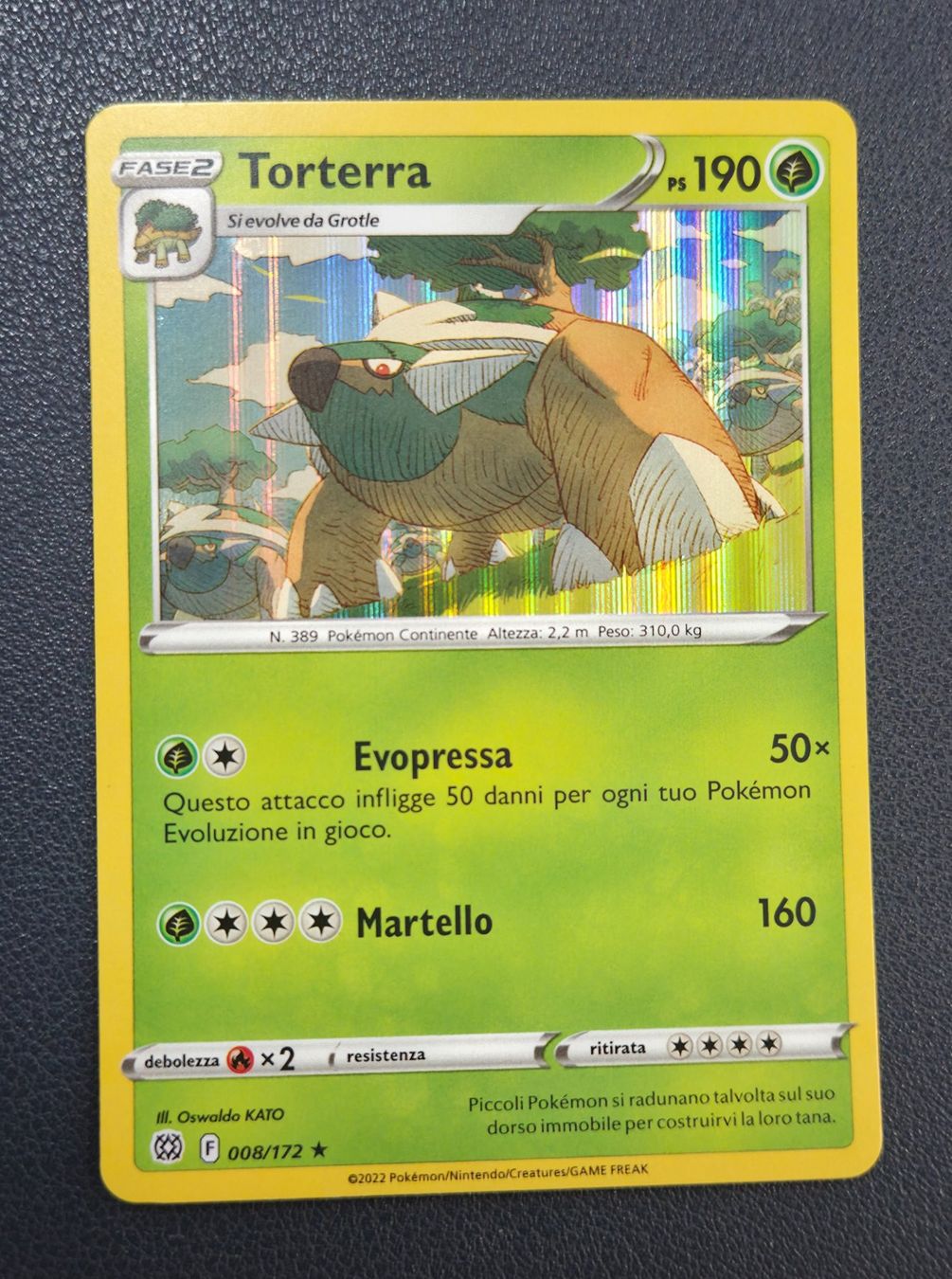 Pokémon Carte collezionabili: Pokemon 008-172 Torterra Holo IT – Usato da Lugano venduto da pan_5zpg